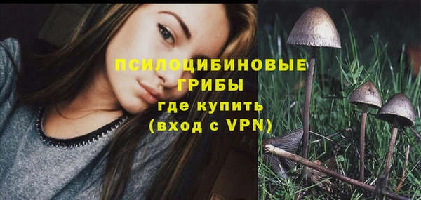 mdma Новозыбков