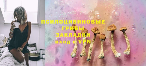 дживик Алзамай